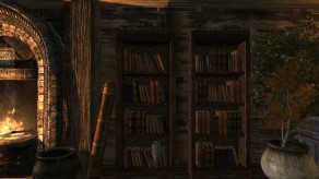 Skyrim: Bookshelves in The Reserve